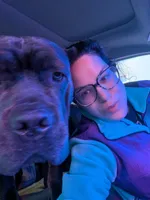 Purple , a female Cane Corso for sale in Jackson, MI – 8 of 10