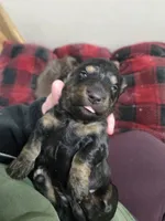 processed/153e865e-f144-4051-881c-4a7cd3034a40/listing/83ae9d70-86a3-401c-8d5d-4a04f170fa7e/1611192c-254c-4213-93c3-e042cacaf5c4