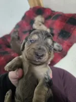 processed/153e865e-f144-4051-881c-4a7cd3034a40/listing/e8e97346-0137-4593-85d3-432ad99b4b30/a02104dc-ce56-47ca-9e86-d91b5dffe403