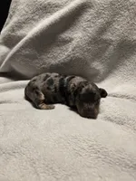 processed/153e865e-f144-4051-881c-4a7cd3034a40/listing/e8e97346-0137-4593-85d3-432ad99b4b30/c9c60673-a62d-4f16-a0e8-1172b7eb8ca5