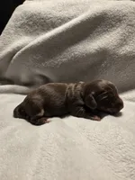 processed/153e865e-f144-4051-881c-4a7cd3034a40/listing/f95b1cd7-7b38-422f-a1fe-2905bfef923f/1fc35e88-f27e-4eae-af1e-0780613476a9