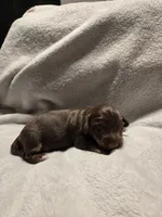 processed/153e865e-f144-4051-881c-4a7cd3034a40/listing/f95b1cd7-7b38-422f-a1fe-2905bfef923f/8c533bc6-7cad-4683-ab43-2b790c5713e6