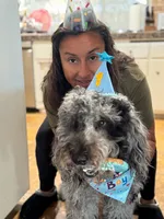 Blue 💙 Merle Boy 20-25 lbs 💙 , a male Soft Coated Wheaten Terrier and Whoodle for sale in Los Angeles, CA – 6 of 10
