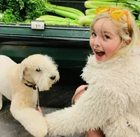 Small male Trained Mini, a male Soft Coated Wheaten Terrier and Whoodle for sale in Los Angeles, CA – 10 of 10