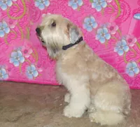 processed/15430736-4147-4266-bbf6-c77df81012f7/listing/e3a5fb53-dba4-42ea-bf83-3058ad2acb5e/219c08b0-6559-472d-a4f3-668bd94bc70b