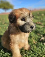 processed/15430736-4147-4266-bbf6-c77df81012f7/listing/e3a5fb53-dba4-42ea-bf83-3058ad2acb5e/3718ef29-52a0-4492-96d1-c65cc8f36262