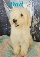 processed/15430736-4147-4266-bbf6-c77df81012f7/listing/e3a5fb53-dba4-42ea-bf83-3058ad2acb5e/67cfcf7f-3575-4ebd-8e78-a92b9af02564