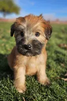 processed/15430736-4147-4266-bbf6-c77df81012f7/listing/e3a5fb53-dba4-42ea-bf83-3058ad2acb5e/954a30b5-7d7c-4581-85c4-5ca0f637525f