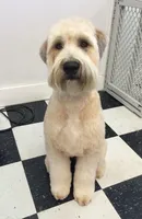 processed/15430736-4147-4266-bbf6-c77df81012f7/listing/e3a5fb53-dba4-42ea-bf83-3058ad2acb5e/a32ff329-e5a3-4b4b-a24b-53cda5d3cc07