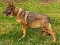 processed/154493a0-159d-452d-a127-30166d232d01/listing/02a04358-c7e2-403a-abf8-265c583e805d/2c92f7fc-edf6-4520-bb43-b3c42ccb664a