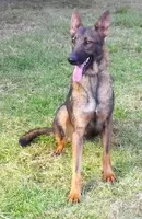 processed/154493a0-159d-452d-a127-30166d232d01/listing/02a04358-c7e2-403a-abf8-265c583e805d/3063f0be-d663-498f-8923-cf371ecd1848