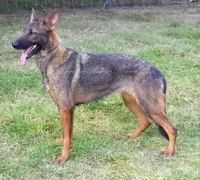 processed/154493a0-159d-452d-a127-30166d232d01/listing/02a04358-c7e2-403a-abf8-265c583e805d/430d9651-e43e-42ee-b546-7a57f4762f2f