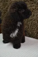 processed/15465270-2685-499d-b865-c9b3dfcc2d24/listing/224bd547-d05c-49f1-a035-83609931f406/3bb5d81a-7fe0-4f06-b38a-a4d936583e3a