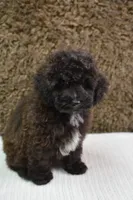 processed/15465270-2685-499d-b865-c9b3dfcc2d24/listing/224bd547-d05c-49f1-a035-83609931f406/58cccc89-9d95-4695-a115-0b6002aac609