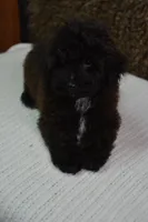 processed/15465270-2685-499d-b865-c9b3dfcc2d24/listing/224bd547-d05c-49f1-a035-83609931f406/9c315e55-a592-4190-ae31-ace82c539347