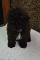 processed/15465270-2685-499d-b865-c9b3dfcc2d24/listing/224bd547-d05c-49f1-a035-83609931f406/e6beae73-3e41-4eb4-bad9-3c9e1bc11963