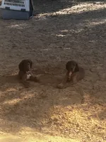 processed/1551ae1c-c7a8-4a8c-9c93-9f57ebea602f/listing/147014c4-e743-486c-83f1-482b3f4d31f4/bd885a8b-3f67-458f-a3ae-b6d04bd72a3f