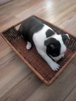 processed/15548a46-33f5-4e7e-9a95-db17d5d23861/listing/46db1d32-a33d-46ca-9c69-69e294318b61/09482454-8f68-4e23-a69c-ed5c041a509d