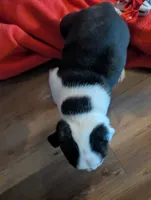 processed/15548a46-33f5-4e7e-9a95-db17d5d23861/listing/46db1d32-a33d-46ca-9c69-69e294318b61/1929cb68-7e5c-43f1-9650-a7bc3308af73