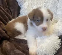 processed/155527e6-5e60-4598-956f-ce2409fab4a6/listing/1098fdc5-f1bc-43ef-9049-19b7e5c37a90/5ec7abce-e328-46b8-910c-012df5aec807