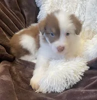 processed/155527e6-5e60-4598-956f-ce2409fab4a6/listing/1098fdc5-f1bc-43ef-9049-19b7e5c37a90/79a17e37-b4dd-4e79-8d89-c3ee1ac09543