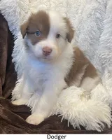 processed/155527e6-5e60-4598-956f-ce2409fab4a6/listing/1098fdc5-f1bc-43ef-9049-19b7e5c37a90/e62fcc74-580c-4755-9b91-b32423aefa3c