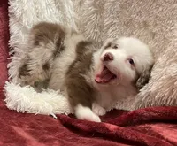 processed/155527e6-5e60-4598-956f-ce2409fab4a6/listing/2bb0d816-5997-4814-a4f5-f4c6db4567b0/05a06caa-89e0-47c7-b178-8d59ab3c0c7d