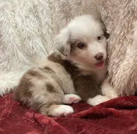 processed/155527e6-5e60-4598-956f-ce2409fab4a6/listing/2bb0d816-5997-4814-a4f5-f4c6db4567b0/850680c0-cef5-405c-9095-605f68aa4b79