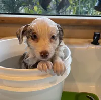 processed/155527e6-5e60-4598-956f-ce2409fab4a6/listing/2bb0d816-5997-4814-a4f5-f4c6db4567b0/892fd950-3547-41dd-a86b-9198f9461b9e