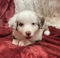 processed/155527e6-5e60-4598-956f-ce2409fab4a6/listing/2bb0d816-5997-4814-a4f5-f4c6db4567b0/9b3aa664-62af-4993-bcc1-81534bfeffc3