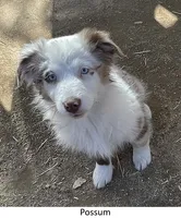 processed/155527e6-5e60-4598-956f-ce2409fab4a6/listing/2bb0d816-5997-4814-a4f5-f4c6db4567b0/c7285555-8c21-41c0-afa8-fa93aff75de4