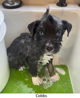 processed/155527e6-5e60-4598-956f-ce2409fab4a6/listing/a6fbd928-ead6-4443-850e-9f5b2ca1d8af/11c6270a-9ce1-4bca-b231-f1df2d5f5b8c