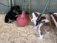 processed/155527e6-5e60-4598-956f-ce2409fab4a6/listing/a6fbd928-ead6-4443-850e-9f5b2ca1d8af/6365e63e-c80b-46f0-bdfb-60cad7476356