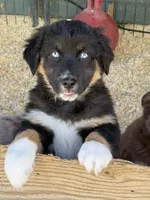 processed/155527e6-5e60-4598-956f-ce2409fab4a6/listing/a6fbd928-ead6-4443-850e-9f5b2ca1d8af/6f7969db-b907-4656-926c-f088f5d61e7a