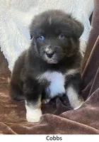 processed/155527e6-5e60-4598-956f-ce2409fab4a6/listing/a6fbd928-ead6-4443-850e-9f5b2ca1d8af/8153ebb1-3aa5-4b06-95b6-7fc6a775ab44