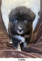 processed/155527e6-5e60-4598-956f-ce2409fab4a6/listing/a6fbd928-ead6-4443-850e-9f5b2ca1d8af/934f7cc2-1a9d-496c-8f15-c15ae55c50ce