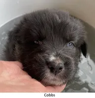 processed/155527e6-5e60-4598-956f-ce2409fab4a6/listing/a6fbd928-ead6-4443-850e-9f5b2ca1d8af/a0b05839-59e5-422b-9422-706882f628b6