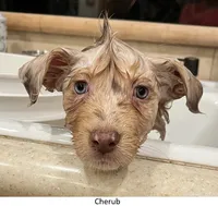 processed/155527e6-5e60-4598-956f-ce2409fab4a6/listing/c16f3714-560f-4595-b4e7-d408fae213e0/05cce6cf-2d0c-437f-88e6-36f0c3194499