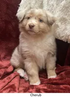 processed/155527e6-5e60-4598-956f-ce2409fab4a6/listing/c16f3714-560f-4595-b4e7-d408fae213e0/0c211c4e-f1ac-44c8-8529-5337259a3db6