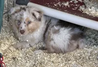 processed/155527e6-5e60-4598-956f-ce2409fab4a6/listing/c16f3714-560f-4595-b4e7-d408fae213e0/283a62b1-9bf0-49e9-8832-5d15a53e9207