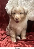 processed/155527e6-5e60-4598-956f-ce2409fab4a6/listing/c16f3714-560f-4595-b4e7-d408fae213e0/96f16ae0-13cc-465a-b09a-668654856757