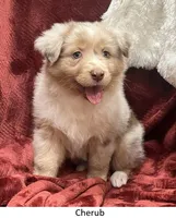 processed/155527e6-5e60-4598-956f-ce2409fab4a6/listing/c16f3714-560f-4595-b4e7-d408fae213e0/e0eddb66-58e0-412b-885c-5e5e4c9be9ce