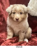 processed/155527e6-5e60-4598-956f-ce2409fab4a6/listing/c16f3714-560f-4595-b4e7-d408fae213e0/f3d4335e-31cc-45a3-8da9-c38fd3c0a240