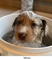 processed/155527e6-5e60-4598-956f-ce2409fab4a6/listing/ccc87b05-c9b2-4cb3-baa1-e47c4498d2ad/2dc40af3-7941-425f-ab95-518a8819f090