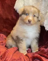 processed/155527e6-5e60-4598-956f-ce2409fab4a6/listing/ccc87b05-c9b2-4cb3-baa1-e47c4498d2ad/66d6e84c-4c6e-4323-a061-0376012211b0