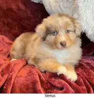 processed/155527e6-5e60-4598-956f-ce2409fab4a6/listing/ccc87b05-c9b2-4cb3-baa1-e47c4498d2ad/746d0fc0-d191-451f-a706-fcf82245a1d8