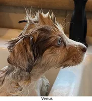 processed/155527e6-5e60-4598-956f-ce2409fab4a6/listing/ccc87b05-c9b2-4cb3-baa1-e47c4498d2ad/a1bd28ec-0533-482e-986e-7c0bed826f9d