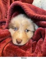 processed/155527e6-5e60-4598-956f-ce2409fab4a6/listing/ccc87b05-c9b2-4cb3-baa1-e47c4498d2ad/c2fa1a5f-2f0a-44f1-97ee-79d1c71082bd