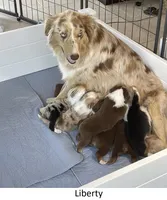 processed/155527e6-5e60-4598-956f-ce2409fab4a6/listing/ccc87b05-c9b2-4cb3-baa1-e47c4498d2ad/cd8d645a-5b8b-4811-8355-2327ac099980