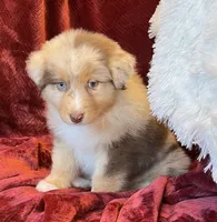 processed/155527e6-5e60-4598-956f-ce2409fab4a6/listing/ccc87b05-c9b2-4cb3-baa1-e47c4498d2ad/e42adb3c-7107-41da-8b62-2e42213fc535